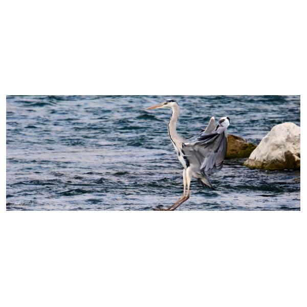 PHOTO84, CLUB, 84 , LUBERON